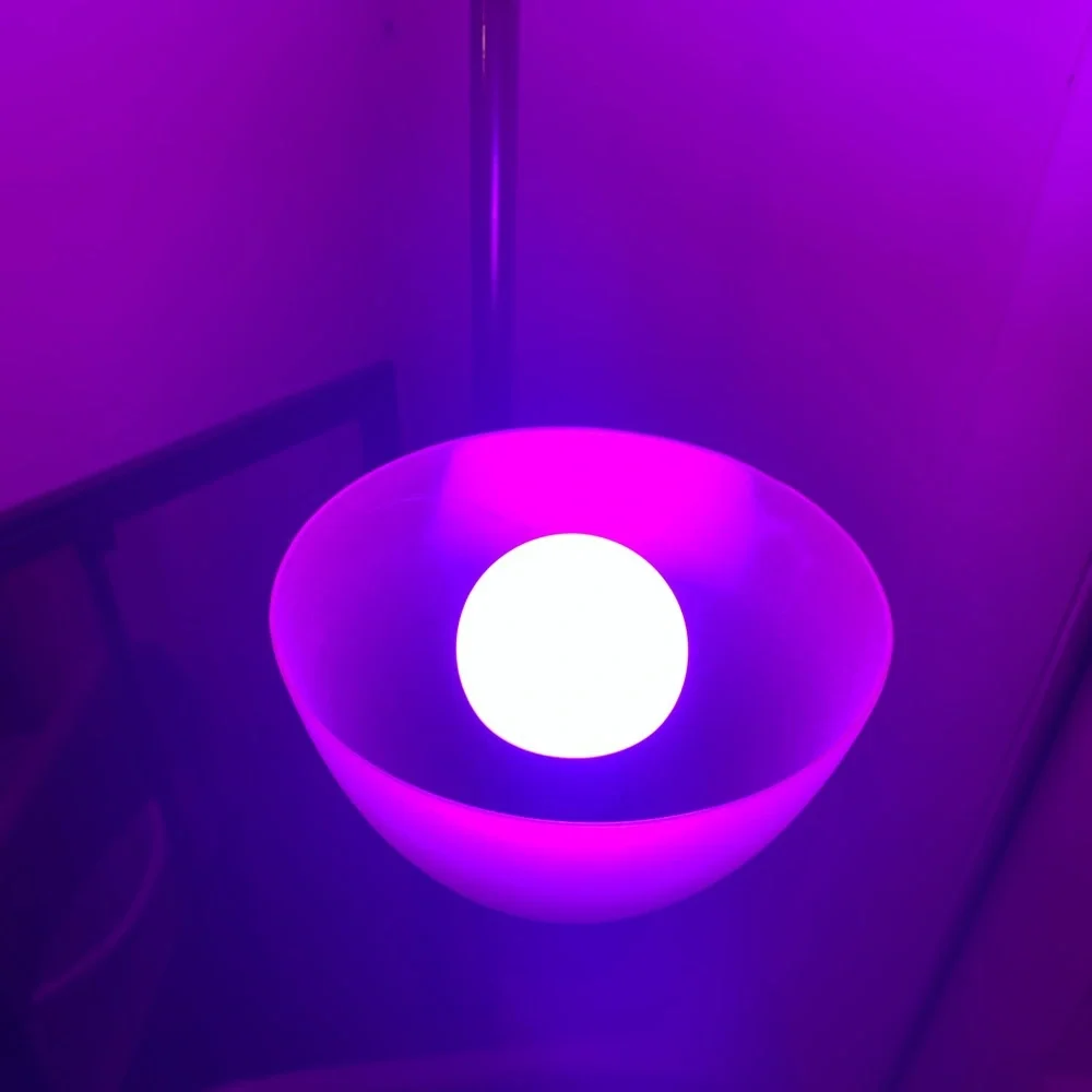 Set of (2) Purple LED light bulbs